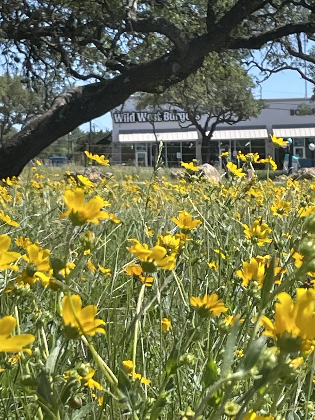 Wild West Burgers | restaurant | 1304 Borgfeld Dr suite 600, San Antonio, TX 78260, USA | 8307144110 OR +1 830-714-4110