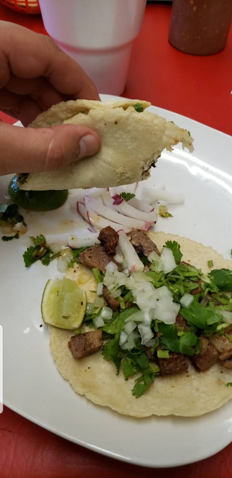 Taqueria Vallarta | restaurant | 1520 17th St, Columbus, NE 68601, USA | 4026064463 OR +1 402-606-4463