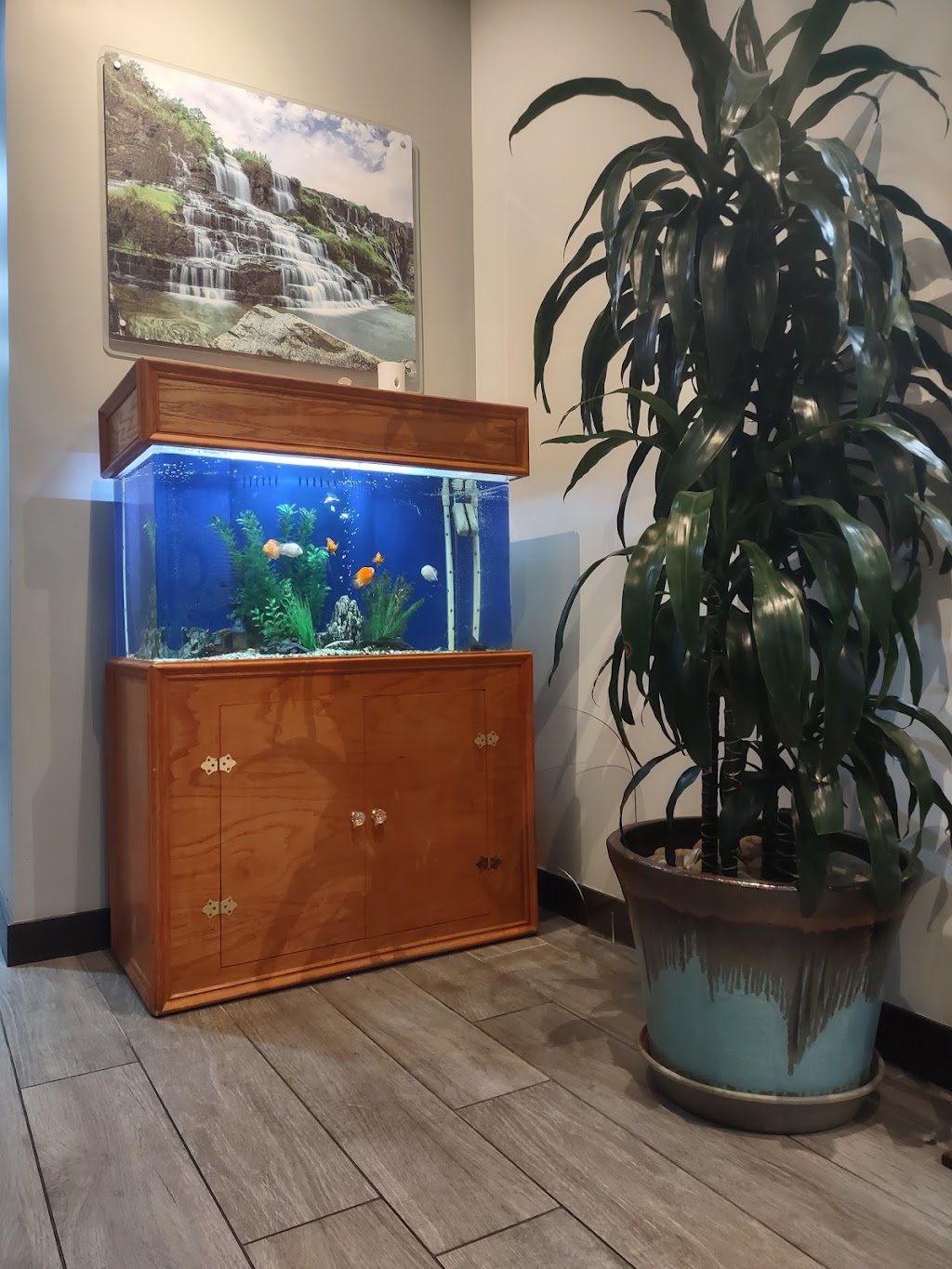 9 Mile Pho | restaurant | 12211 E Dartmouth Ave Ste 100, Aurora, CO 80014, USA | 7203356228 OR +1 720-335-6228