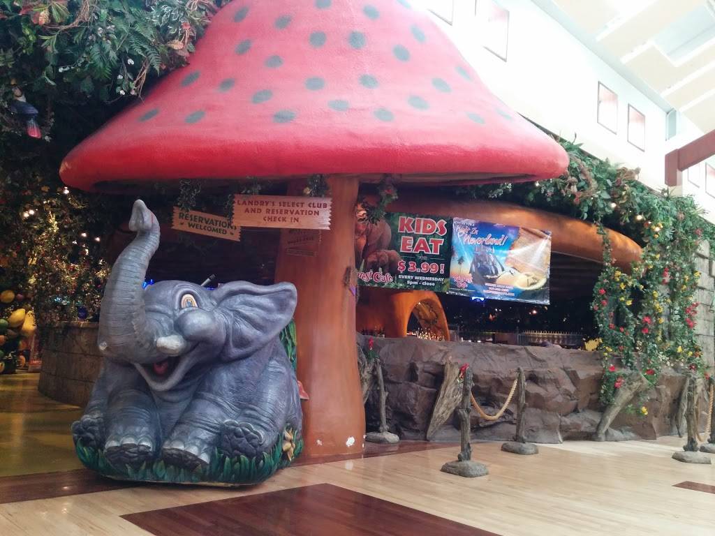 Rainforest Cafe | restaurant | 6170 W Grand Ave, Gurnee, IL 60031, USA | 8478557800 OR +1 847-855-7800