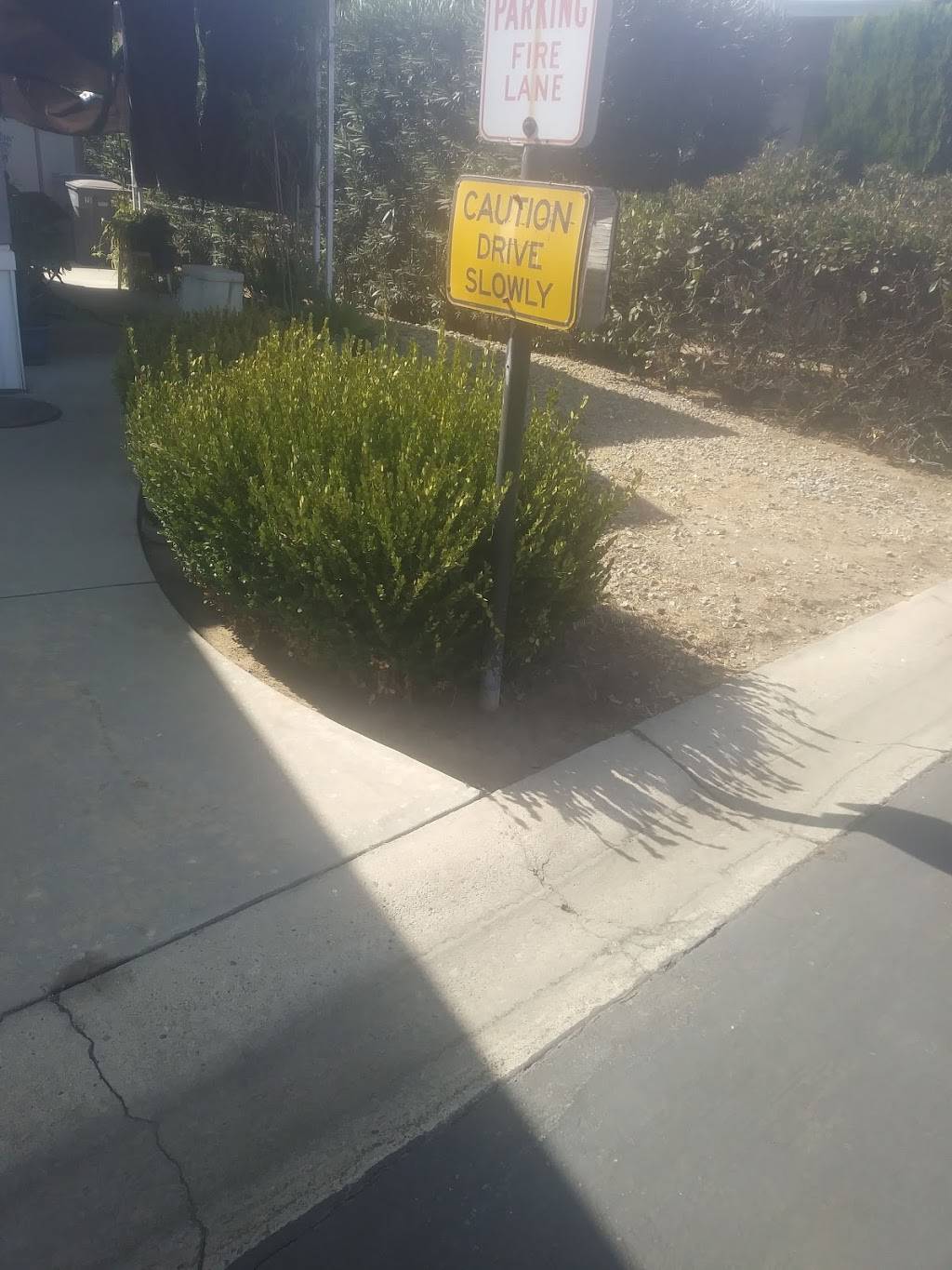 Rigos Gardening and Lanscape | restaurant | 2990 E White Ave, Fresno, CA 93701, USA | 5594009042 OR +1 559-400-9042