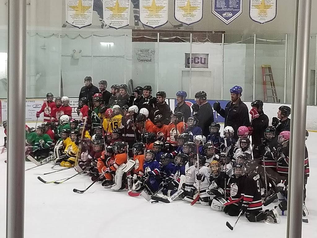 AZ Ice Peoria | restaurant | 15829 N 83rd Ave, Peoria, AZ 85382, USA | 6233341200 OR +1 623-334-1200