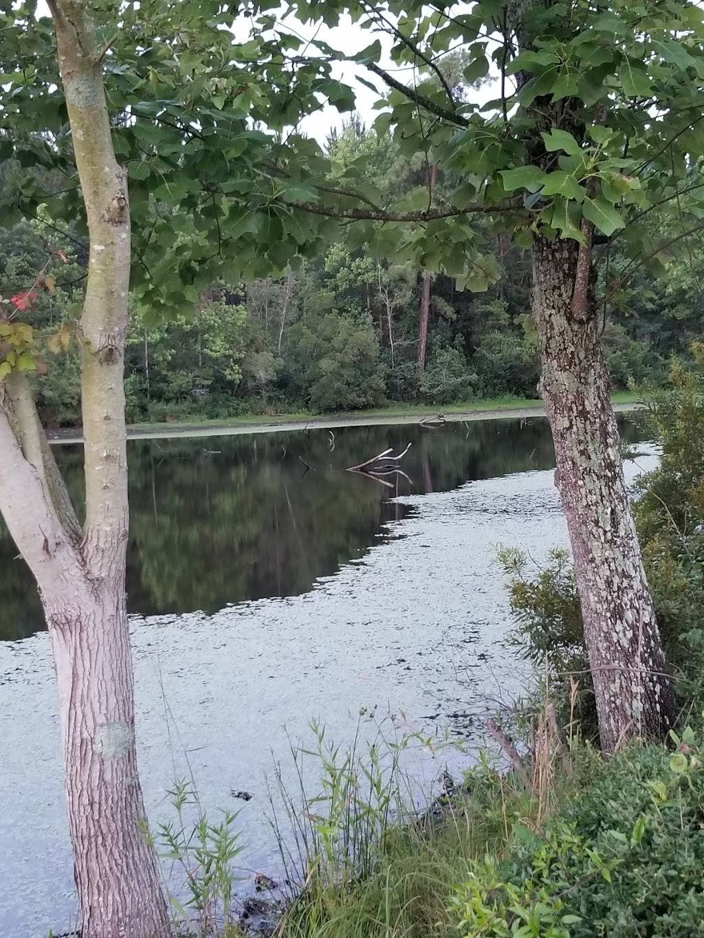 Barbara Deans Steakhouse | restaurant | 7460 Hatch Pkwy S, Baxley, GA 31513, USA | 9123660300 OR +1 912-366-0300