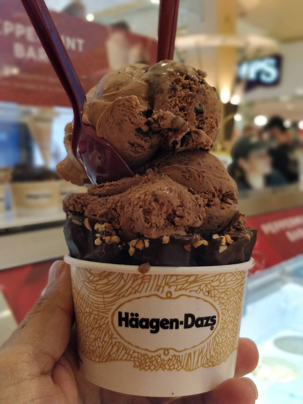 Häagen-Dazs | restaurant | 90-15 Queens Blvd, Elmhurst, NY 11373, USA | 7187607220 OR +1 718-760-7220