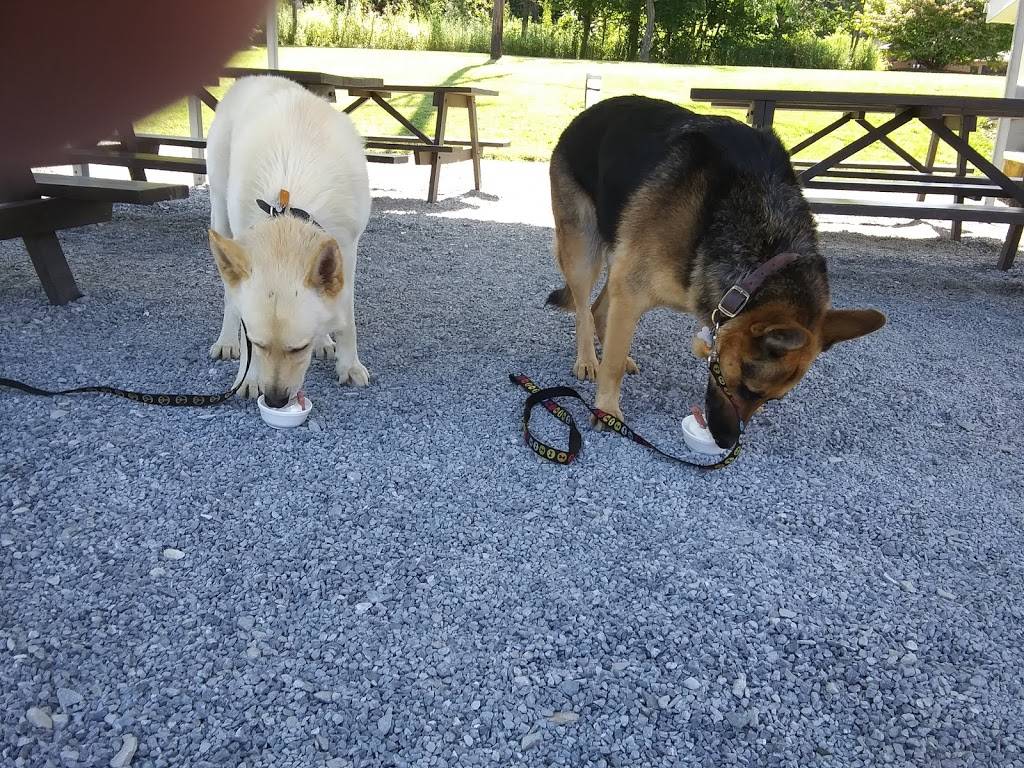 Burger Hut | restaurant | 3524 Coupon Gallitzin Rd, Ashville, PA 16613, USA | 8149435139 OR +1 814-943-5139