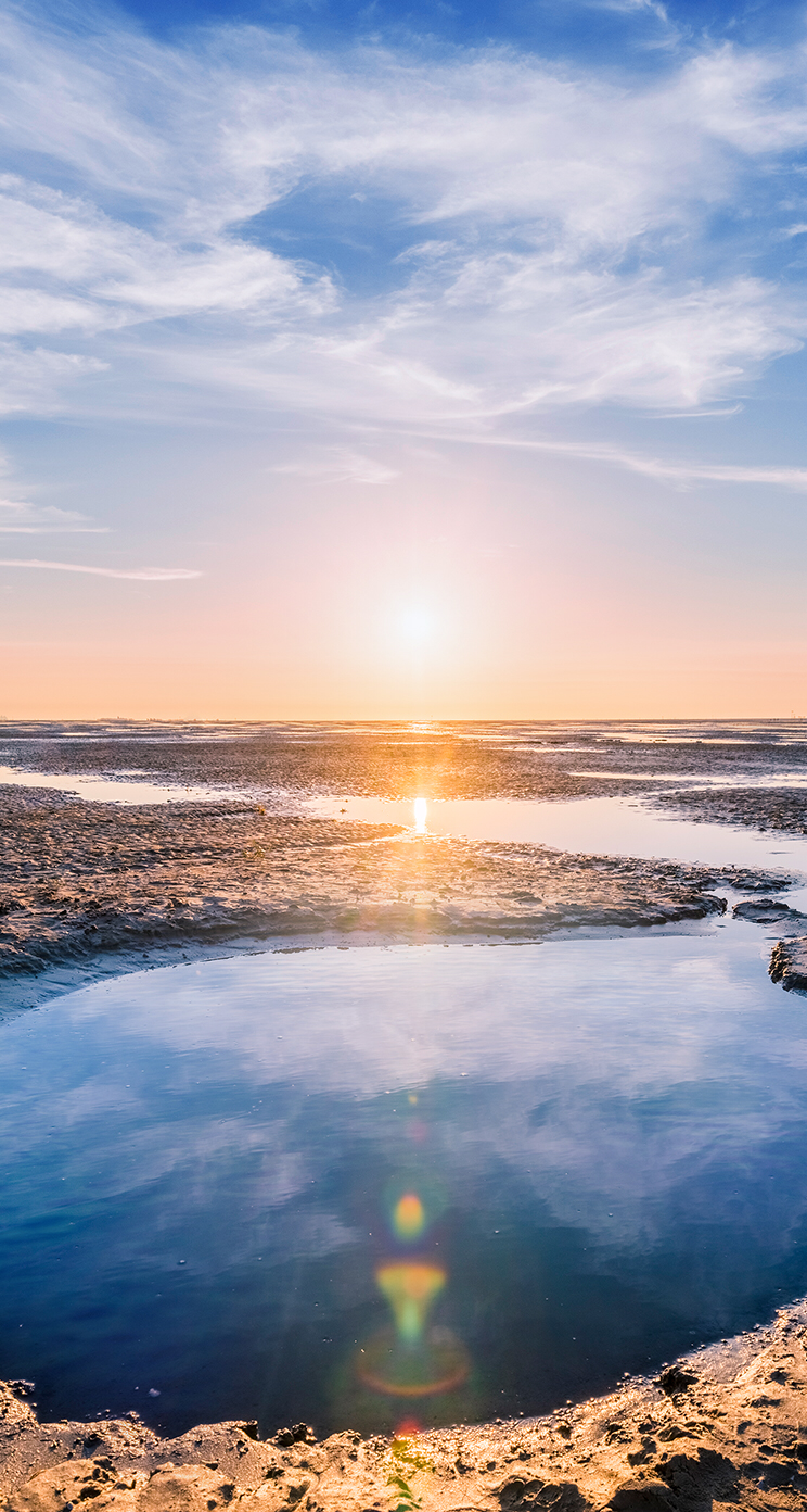 Restaurant Al-Raouché | restaurant | 4953 Boul Henri-Bourassa E, Montréal-Nord, QC H1G 2R5, Canada | 5149555552 OR +1 514-955-5552