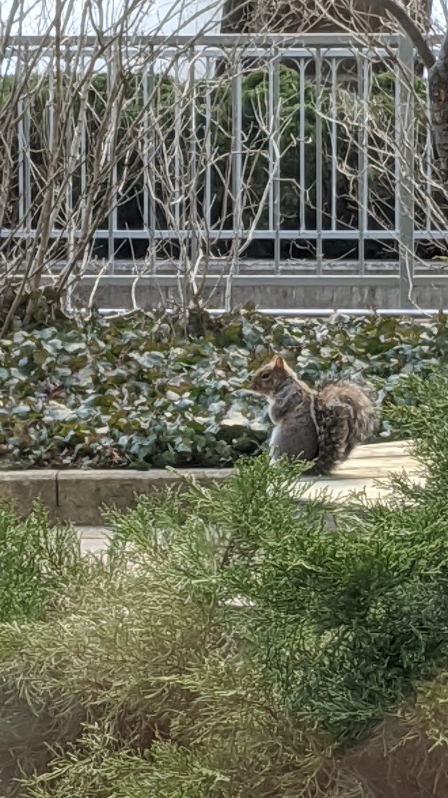 The Acorn Exchange | restaurant | 75 S Clinton Ave, Rochester, NY 14604, USA | 5852708115 OR +1 585-270-8115