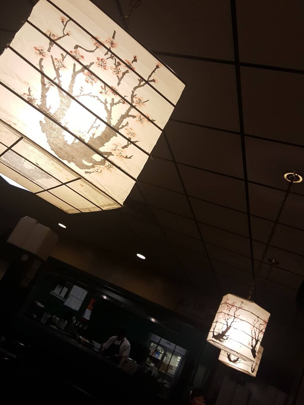 Tokyo Japanese Steakhouse | restaurant | 804 Main St, Lebanon, VA 24266, USA | 2768894988 OR +1 276-889-4988