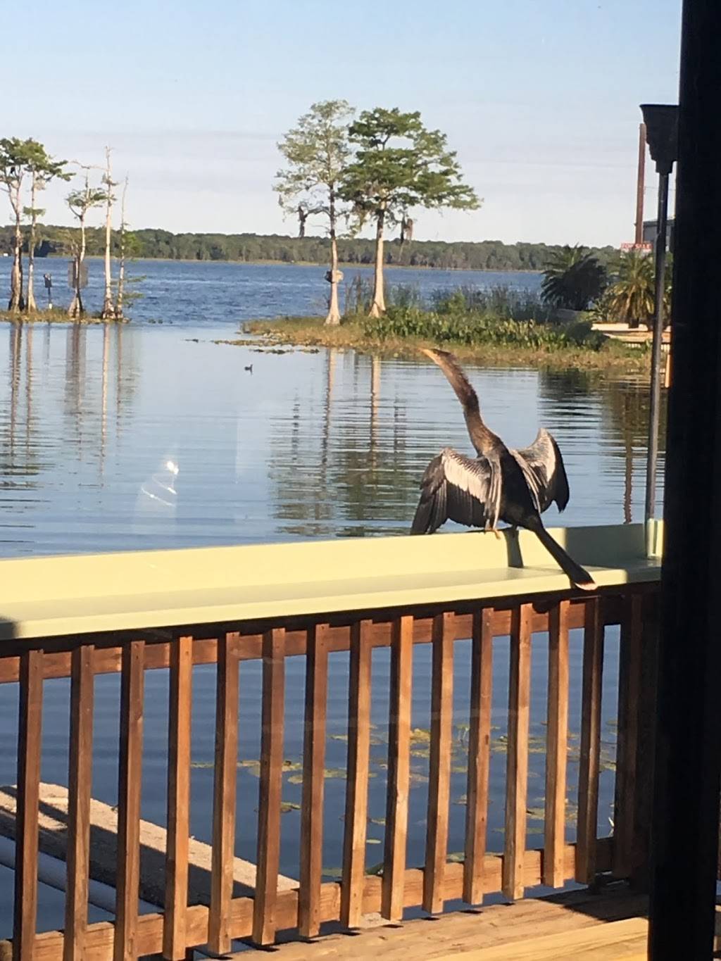 Fish Camp Lake Eustis | restaurant | 901 Lake Shore Blvd, Tavares, FL 32778, USA | 3527424400 OR +1 352-742-4400