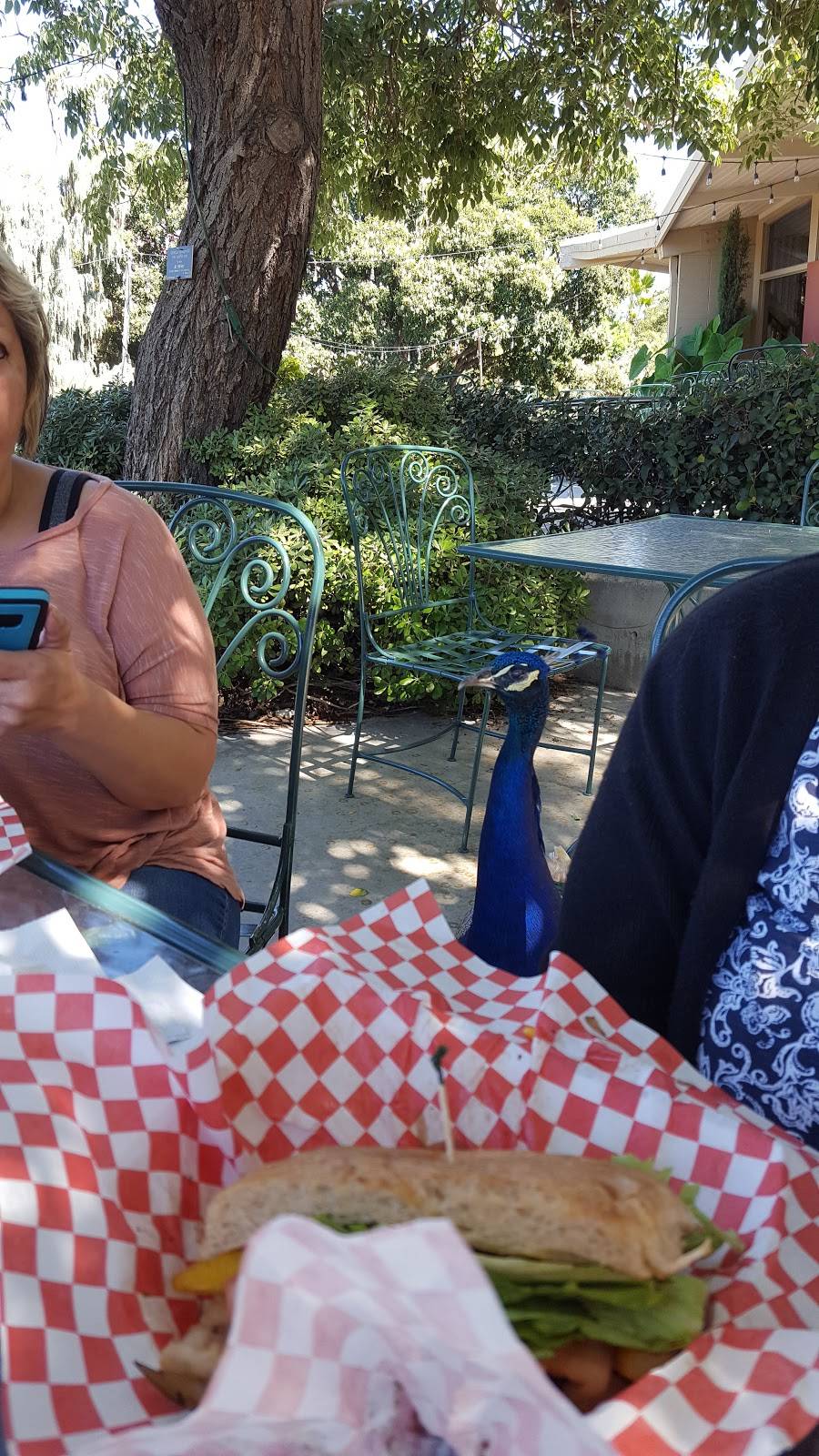 Mustangs in the Garden | restaurant | 301 N Baldwin Ave, Arcadia, CA 91007, USA | 6268213237 OR +1 626-821-3237