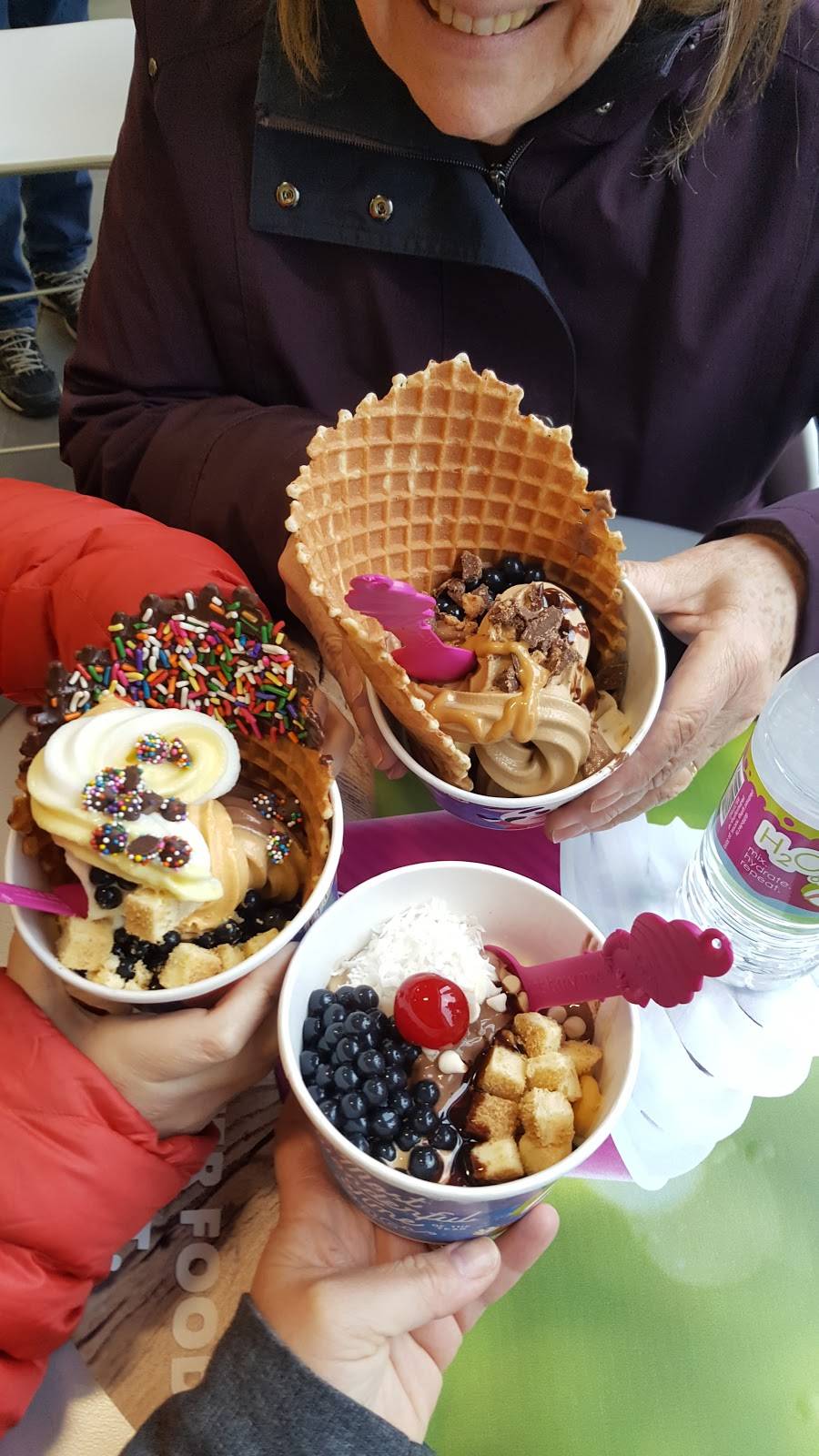Menchies Frozen Yogurt | restaurant | 47 Hamilton St, Dobbs Ferry, NY 10522, USA | 9146931236 OR +1 914-693-1236