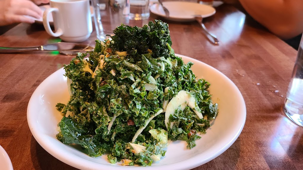 Alden & Harlow | restaurant | 40 Brattle St, Cambridge, MA 02138, USA | 6178642100 OR +1 617-864-2100