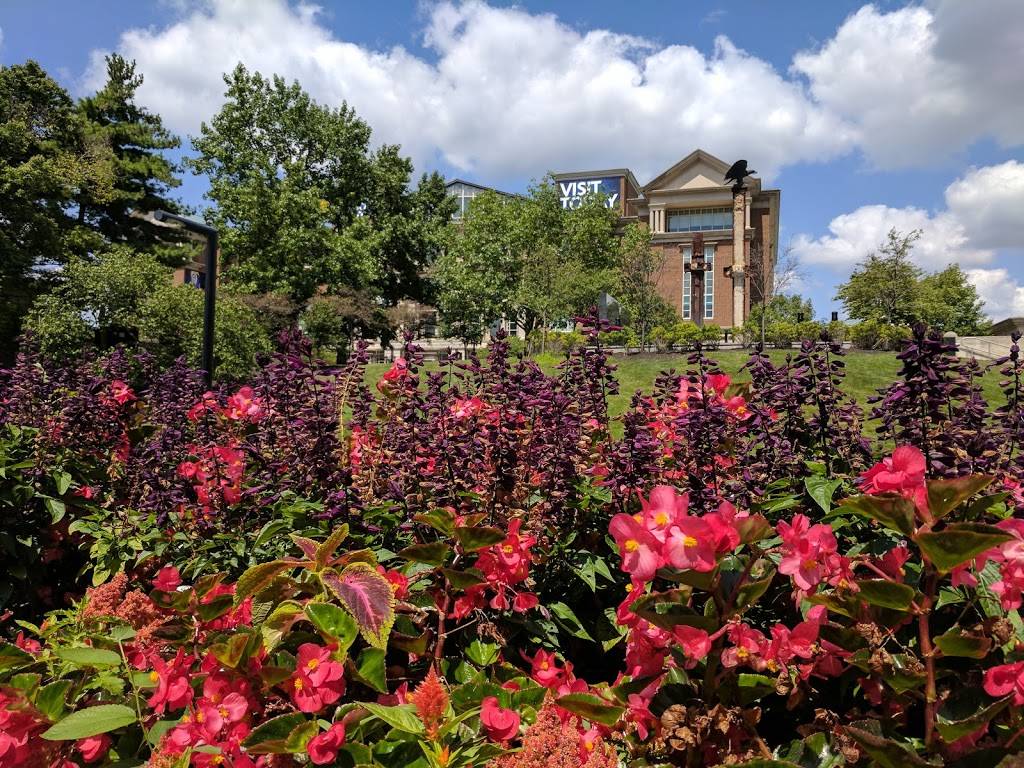 Star Dust Terrace Café | cafe | 450 W Ohio St, Indianapolis, IN 46202, USA | 3172340095 OR +1 317-234-0095