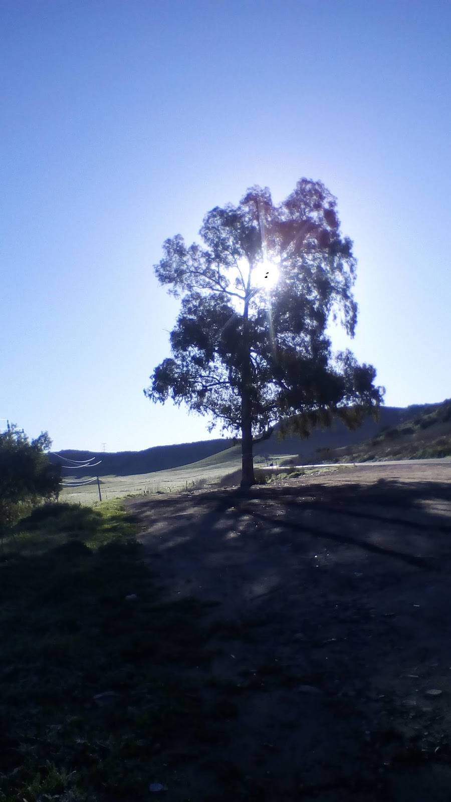 Cocos Santa Rosa | restaurant | Ensenada, Baja California, Mexico | 016611281650 OR +52 661 128 1650