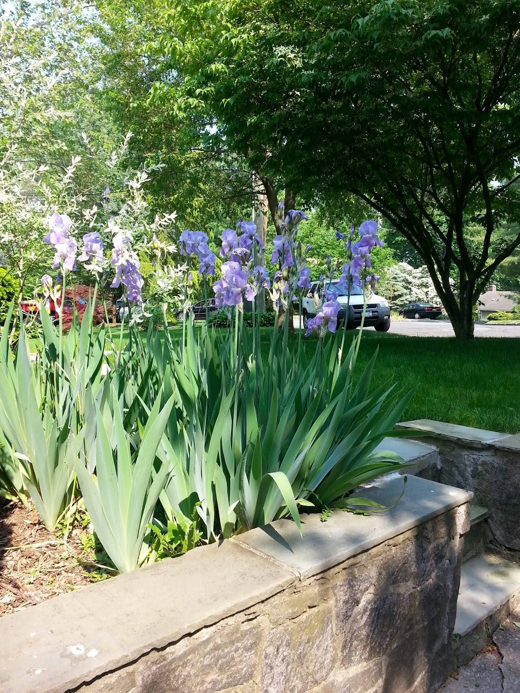 Cermele Cafe | cafe | 1025 Westchester Ave W, West Harrison, NY 10604, USA | 9142510302 OR +1 914-251-0302