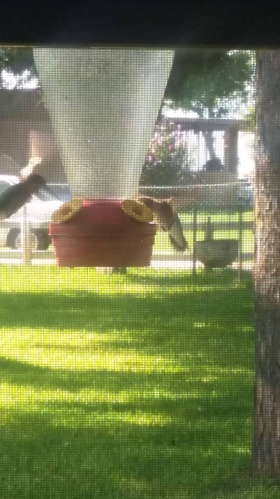 LilJims Country Store | restaurant | 1203 Heickman Rd, Somerset, TX 78069, USA | 8304291009 OR +1 830-429-1009