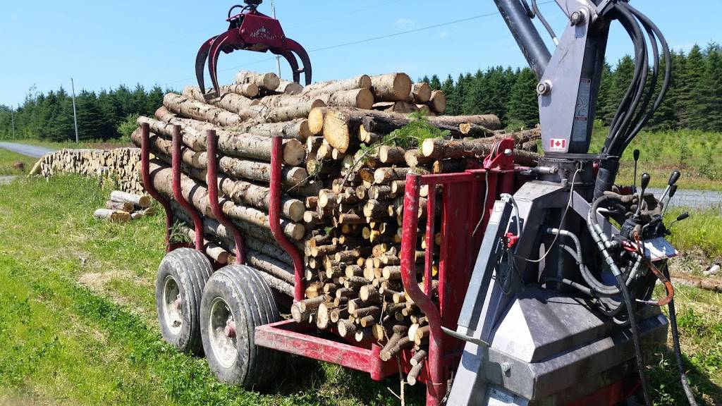 Restaurant Bar Royal | restaurant | 490 14e Ave, La Guadeloupe, QC G0M 1G0, Canada | 4184593436 OR +1 418-459-3436