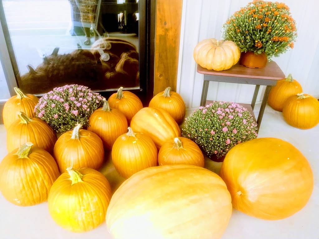 Pineview Bulk Food and Deli | bakery | 749 Plank Rd, Farmville, VA 23901, USA | 4343158800 OR +1 434-315-8800