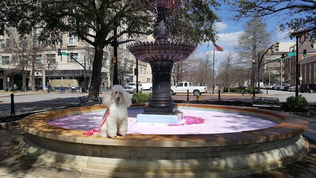 Spud Dogs | restaurant | 490 Cherry St, Macon, GA 31201, USA | 4786214848 OR +1 478-621-4848