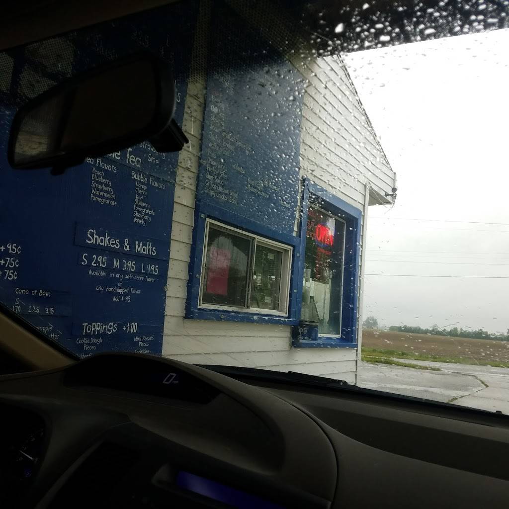 Roys Dixie Delight | restaurant | 10916 S Dixie Hwy, Erie, MI 48133, USA | 7343177697 OR +1 734-317-7697