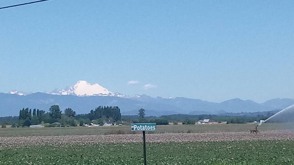 Snow Goose Produce Mt. Vernon | restaurant | 15302 Fir Island Rd, Mt Vernon, WA 98273, USA | 3604456908 OR +1 360-445-6908