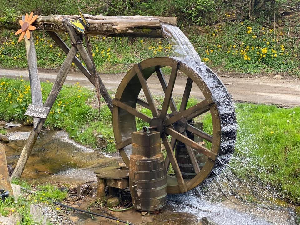 Annies Pork-N-Beans | restaurant | 1575 Old 15th Rd, Del Rio, TN 37727, USA | 4234875909 OR +1 423-487-5909