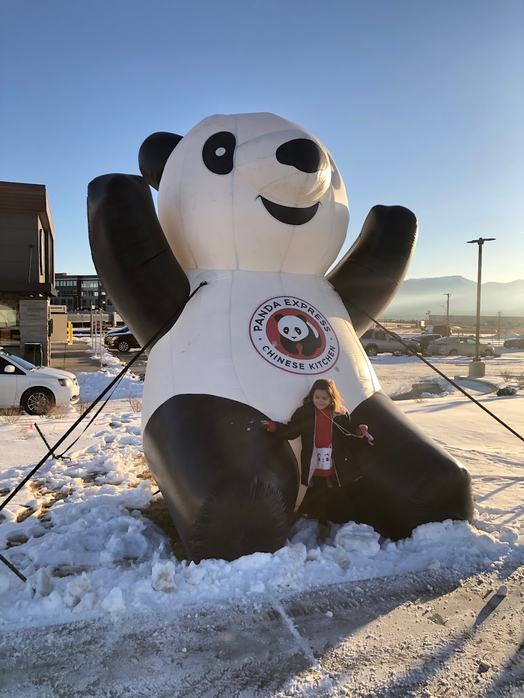 Panda Express | restaurant | 1888 Democracy Point, Colorado Springs, CO 80908, USA | 7196028007 OR +1 719-602-8007