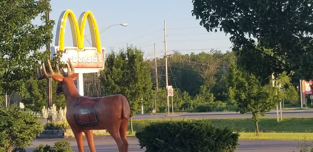 McDonalds | cafe | 17 Booth St, Canandaigua, NY 14424, USA | 5853961350 OR +1 585-396-1350