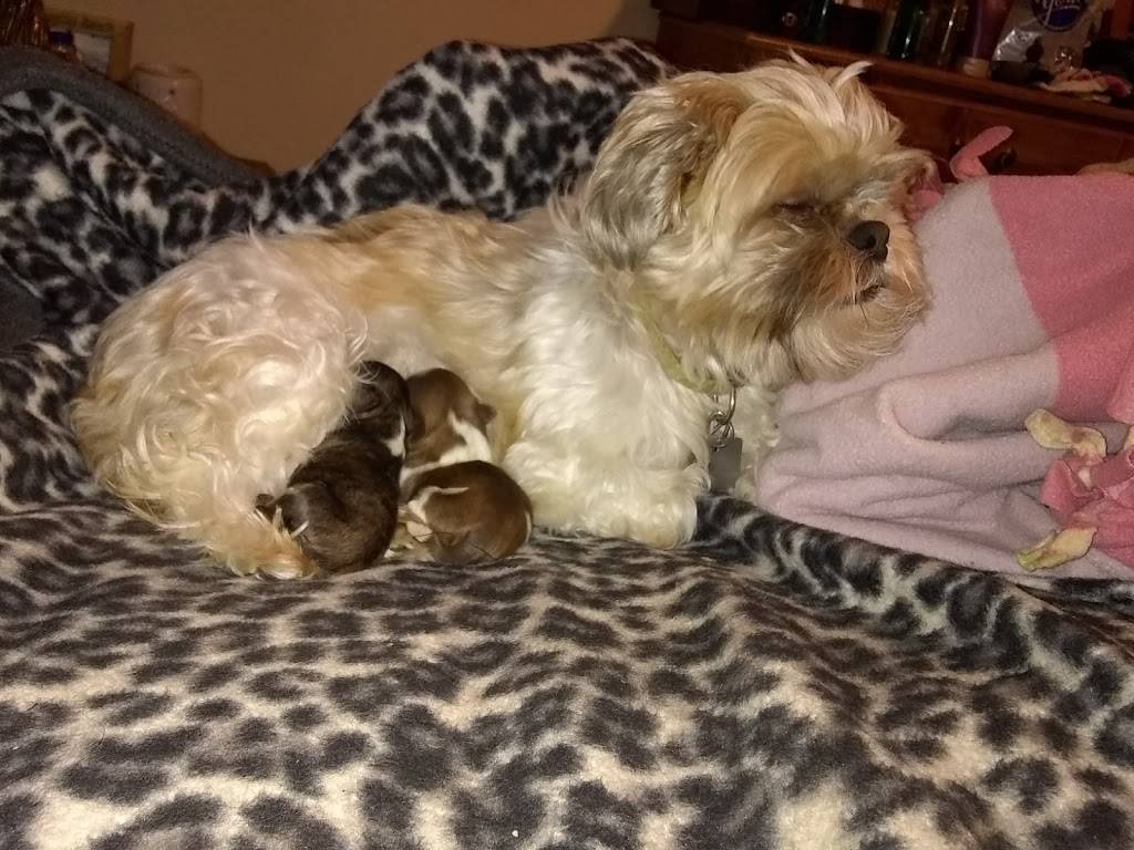 McDonalds | cafe | 981 W North St, DeForest, WI 53532, USA | 6088462373 OR +1 608-846-2373