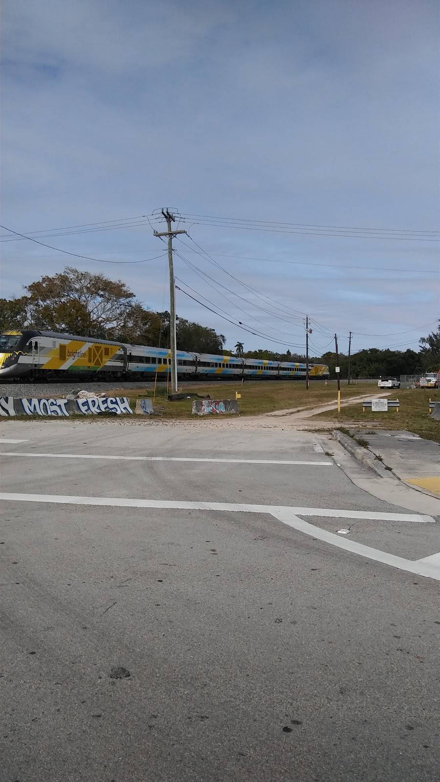 haitian restaurant | restaurant | 450 NE 82nd St, Miami, FL 33138, USA | 4078003991 OR +1 407-800-3991