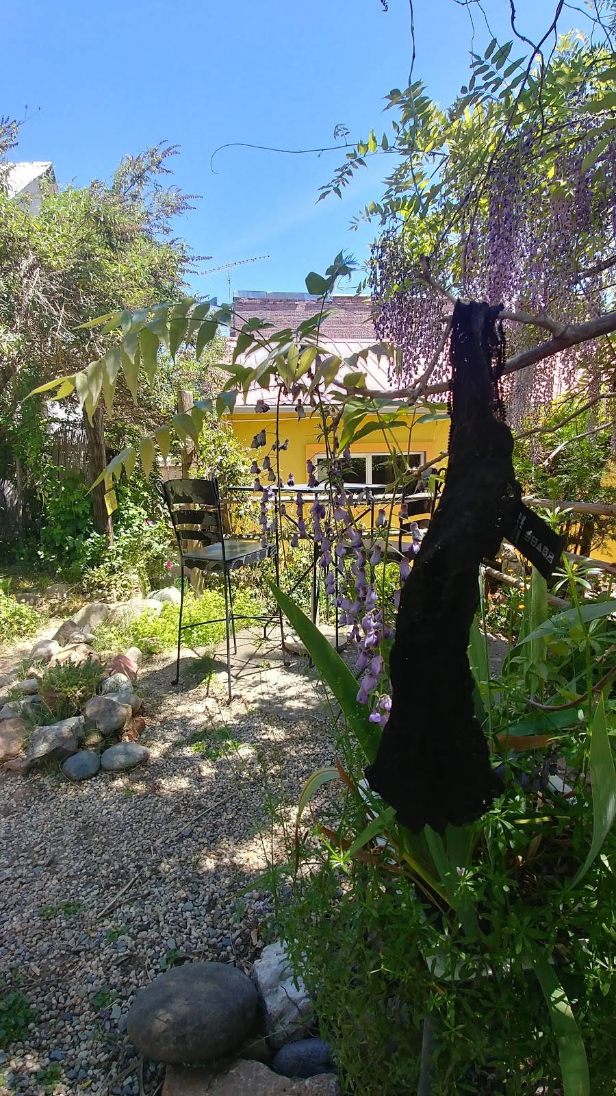 The Ridge Cafe | cafe | 29318 CA-49, North San Juan, CA 95960, USA | 5302923488 OR +1 530-292-3488