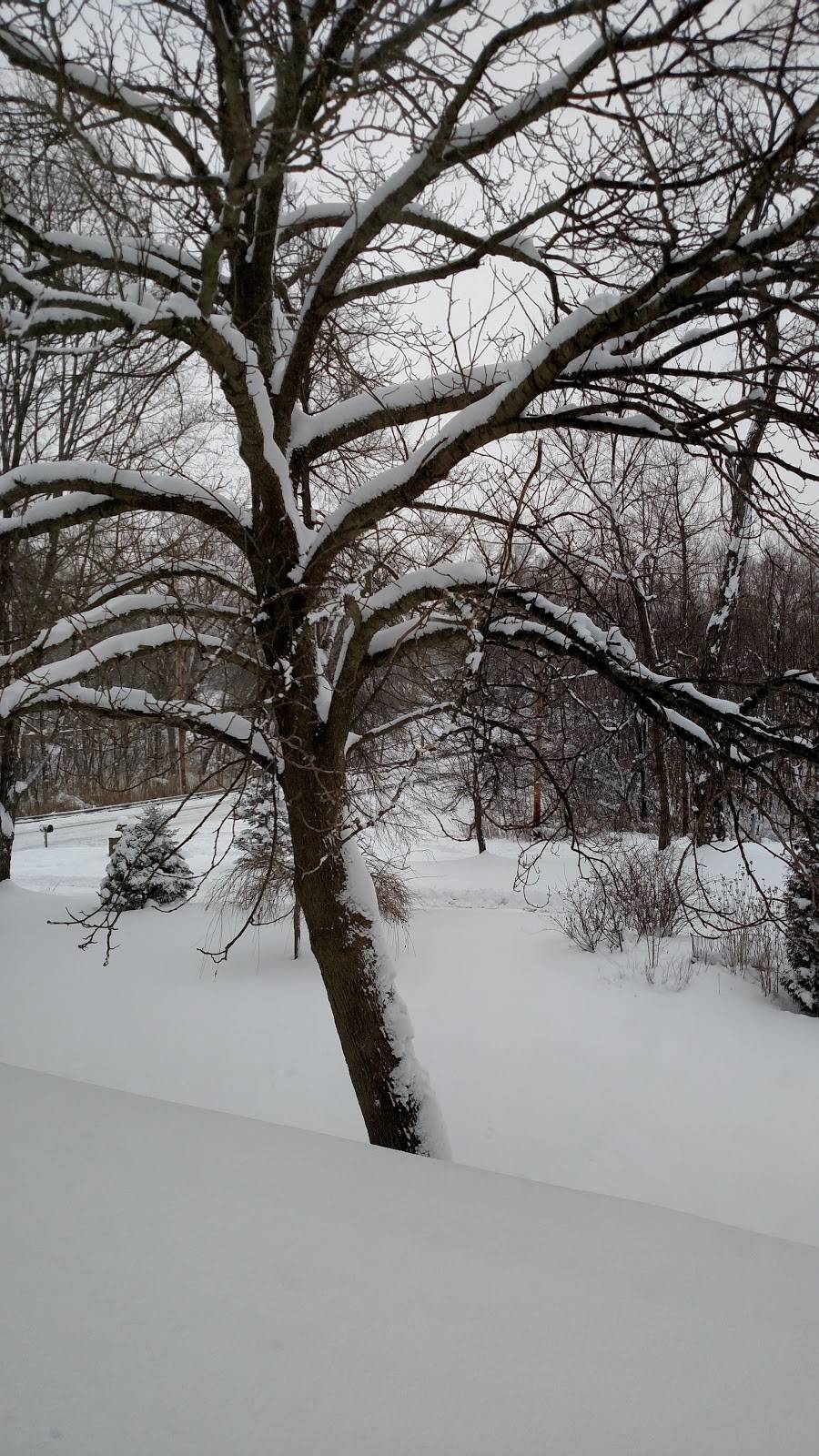 Inn Between The Ridges | restaurant | 4670 Lane Rd, Perry, OH 44081, USA | 4408975750 OR +1 440-897-5750