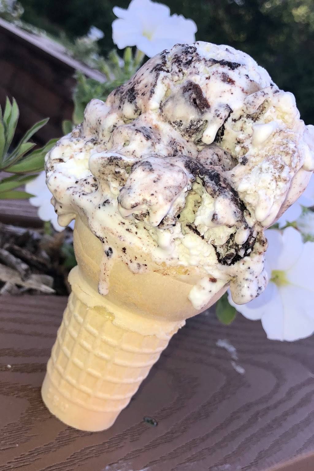 Steam Anchor Coffee & Cafe | bakery | 1310 17th St, Fulton, IL 61252, USA | 8152087074 OR +1 815-208-7074