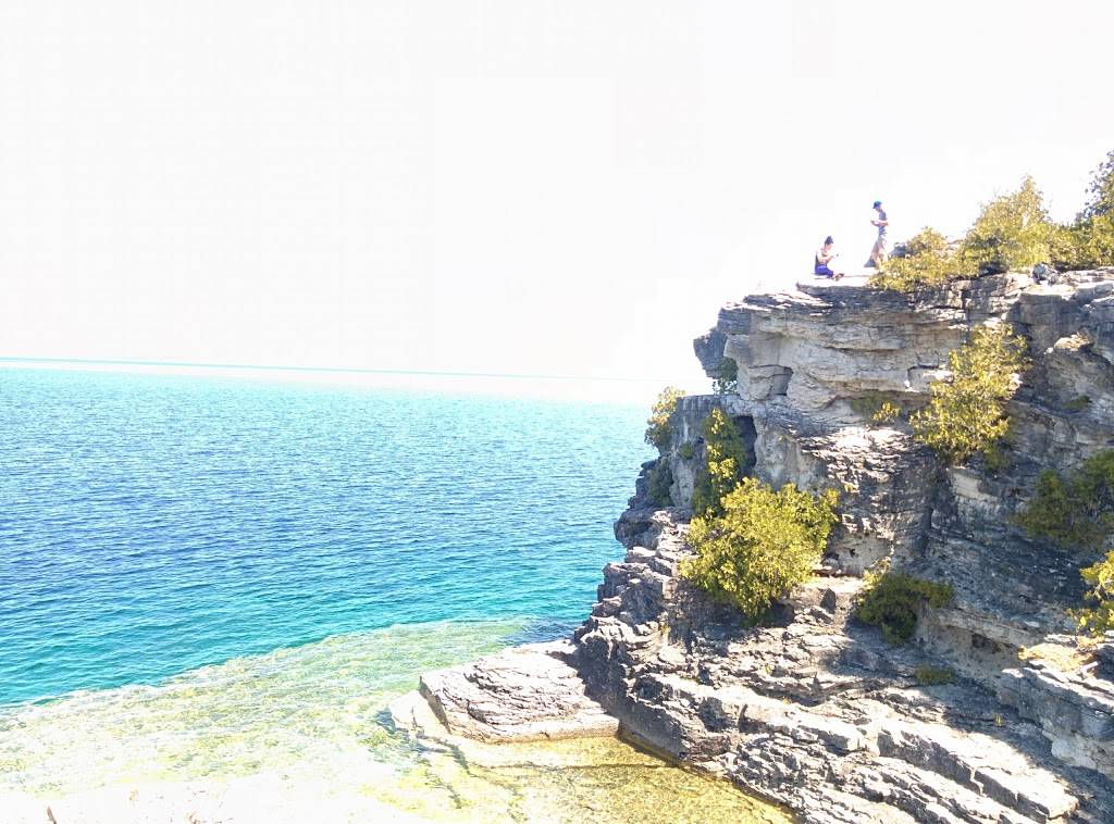 McDonalds | cafe | 1530 Albion Rd Unit F-1, Toronto, ON M9V 1B4, Canada | 4167460175 OR +1 416-746-0175