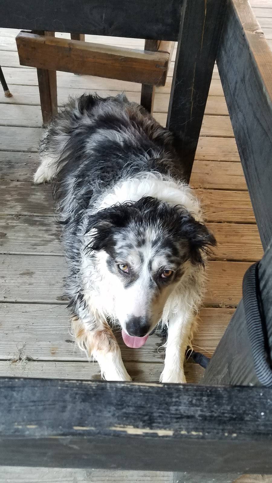 Hidden Cove Restaurant | restaurant | 547 Reid Hill Rd, Moncks Corner, SC 29461, USA | 8438993001 OR +1 843-899-3001