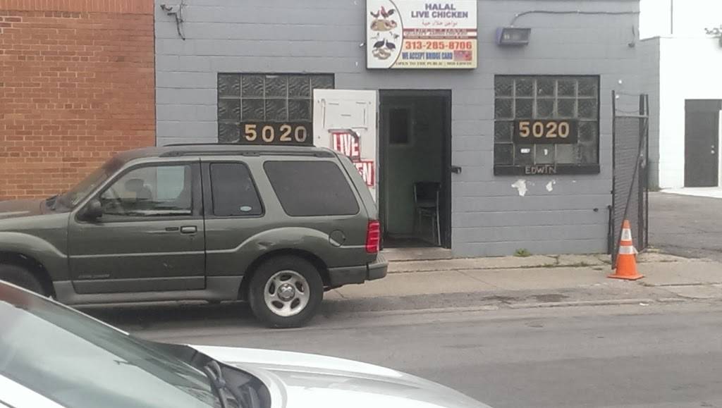 Halal Live Chicken LLC | restaurant | 5020 Edwin St, Hamtramck, MI 48212, USA | 3132858706 OR +1 313-285-8706