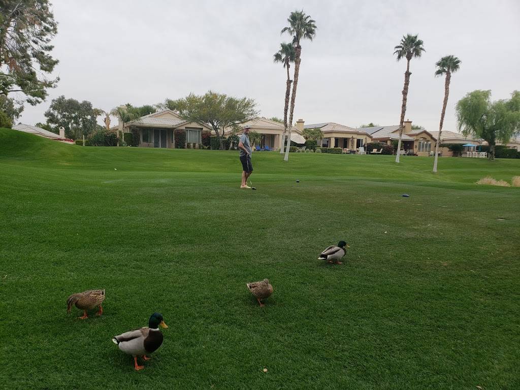 Desert Princess Country Club | restaurant | 28555 Landau Blvd, Cathedral City, CA 92234, USA | 7603222280 OR +1 760-322-2280