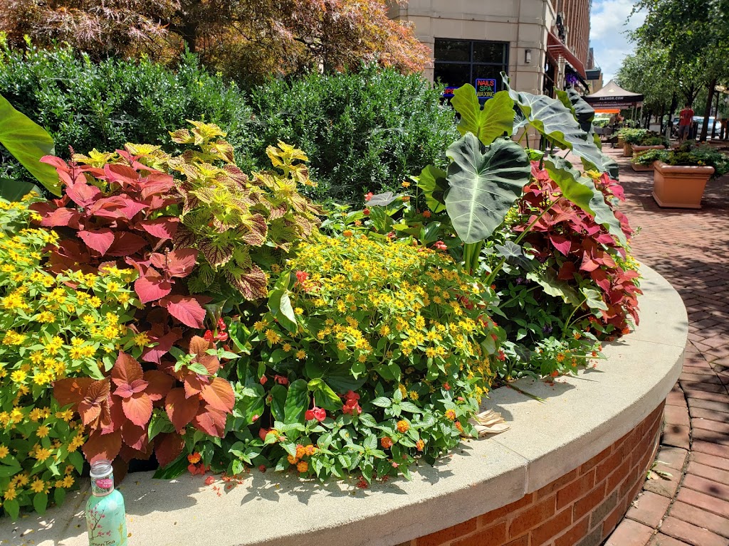 Italian Gourmet | restaurant | 500 John Carlyle St, Alexandria, VA 22314, USA | 7036843354 OR +1 703-684-3354