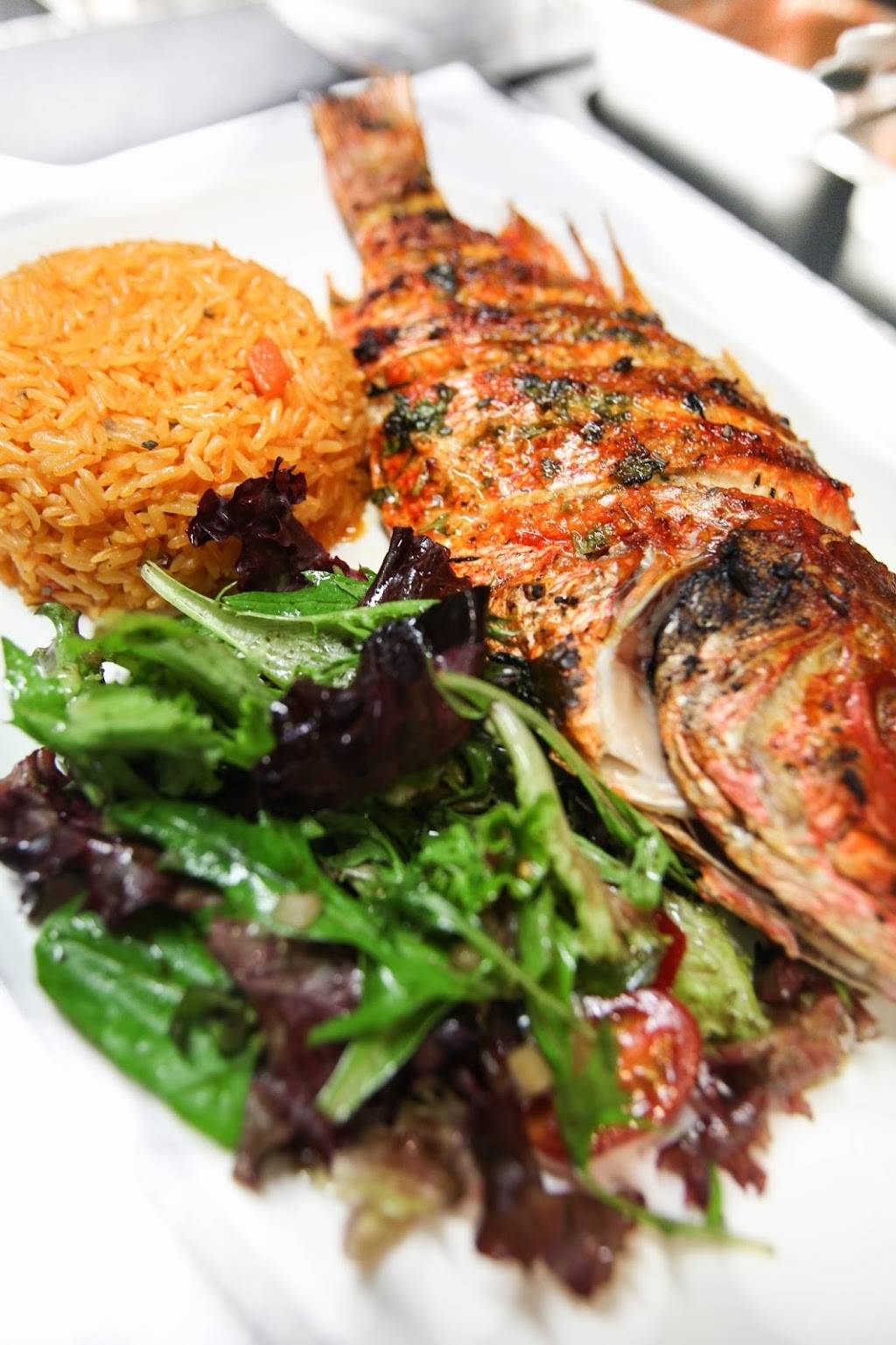 Caoba Brooklyn Bistro | restaurant | 100 Jamaica Ave, Brooklyn, NY 11207, USA | 3474046886 OR +1 347-404-6886