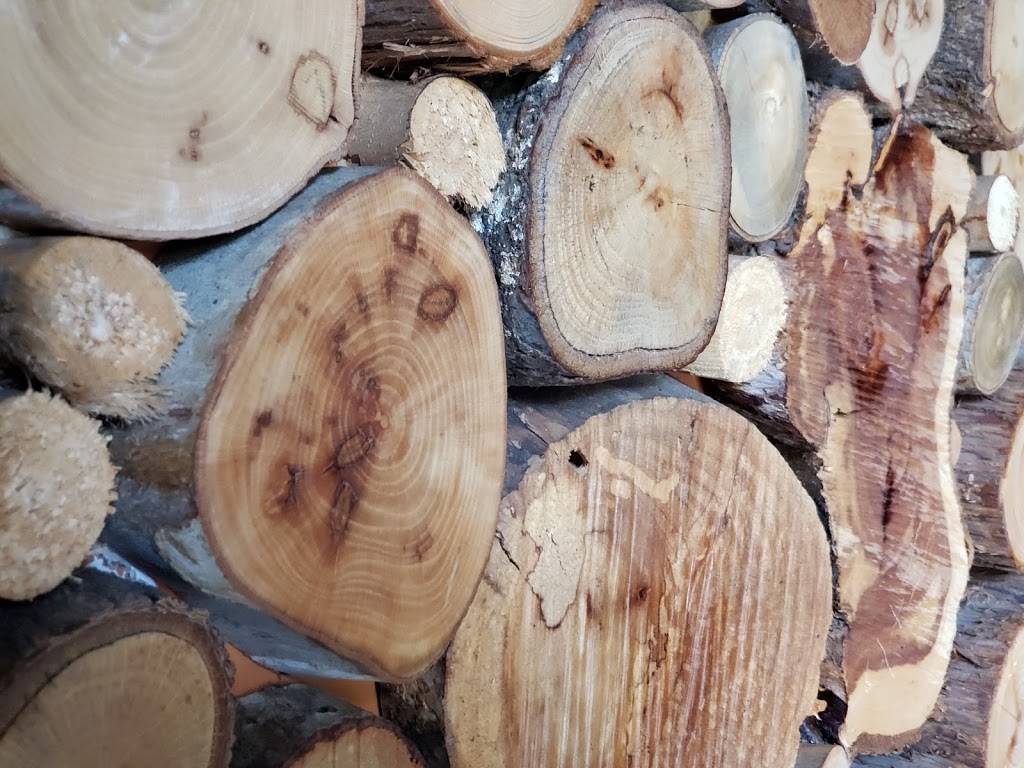 The Lure | restaurant | 661 Central Avenue North, St. Petersburg, FL 33701, USA | 7279148000 OR +1 727-914-8000