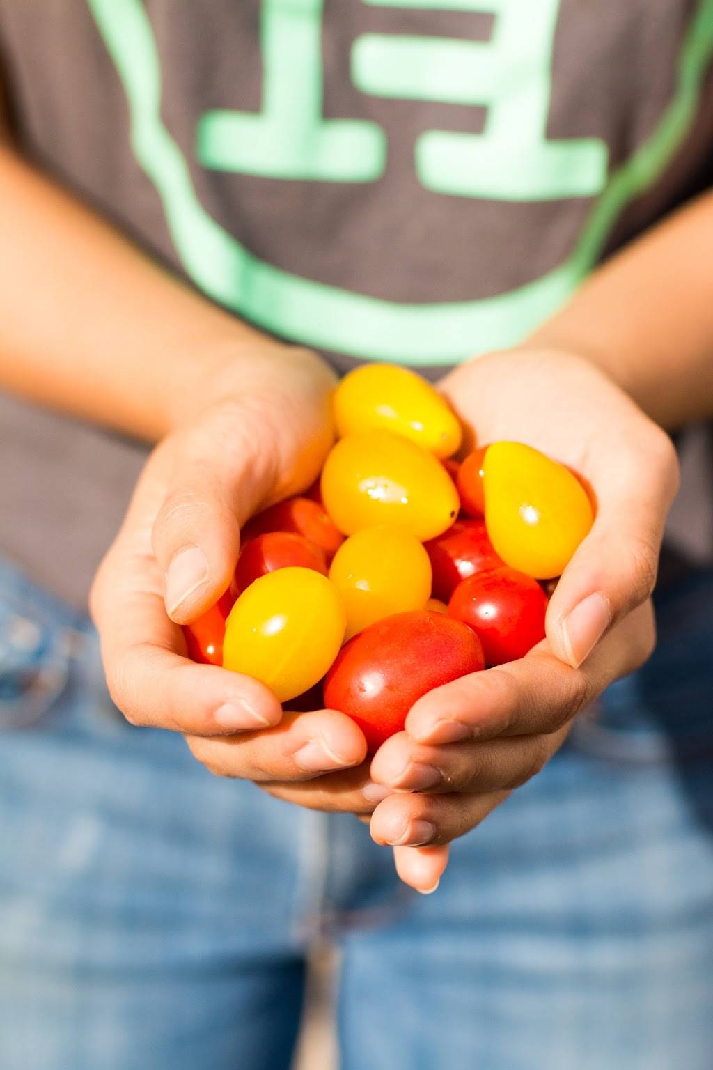 Heritage Eats (Napa) | restaurant | 3824 Bel Aire Plaza, Napa, CA 94558, USA | 7072263287 OR +1 707-226-3287