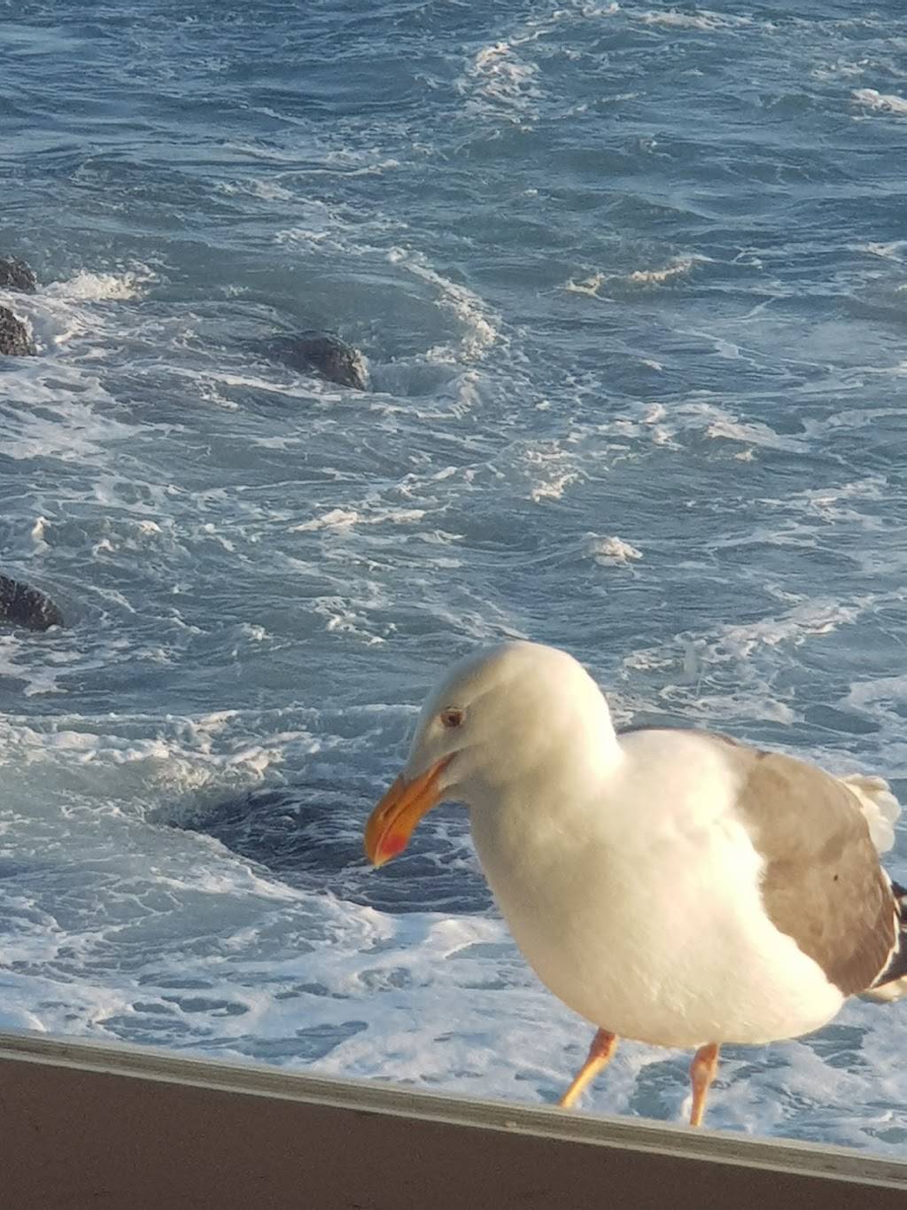 Restaurante Los Cristales | restaurant | Carretera Libre Tijuana, Escenica Ensenada - Tijuana Km. 35.16, Hermenegildo Cuenca Diaz, 22710 Rosarito, B.C., Mexico | 0446611120096 OR +52 1 661 112 0096