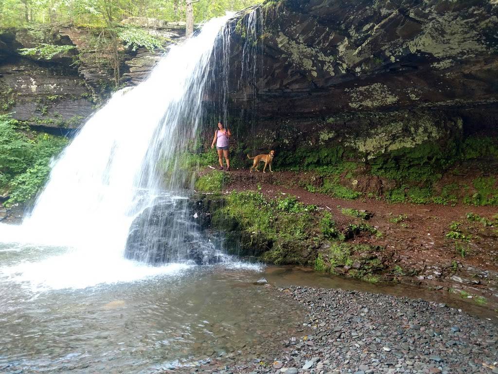 Nussys | restaurant | 57 Ravine Dr, Round Top, NY 12473, USA | 5186229584 OR +1 518-622-9584