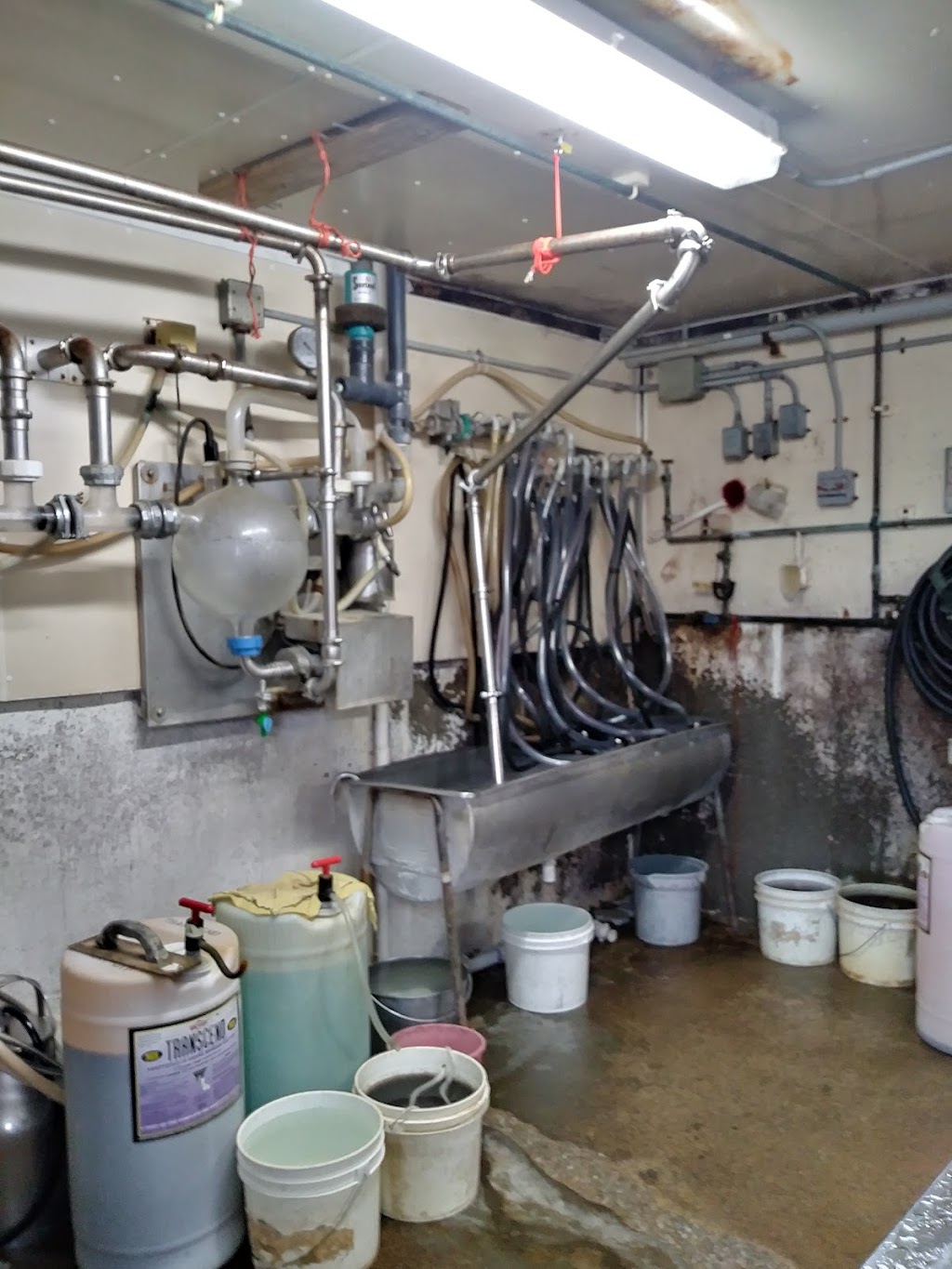 Bettencourt Dairy Farm | restaurant | 100 Simmons St, Rehoboth, MA 02769, USA | 5082525464 OR +1 508-252-5464