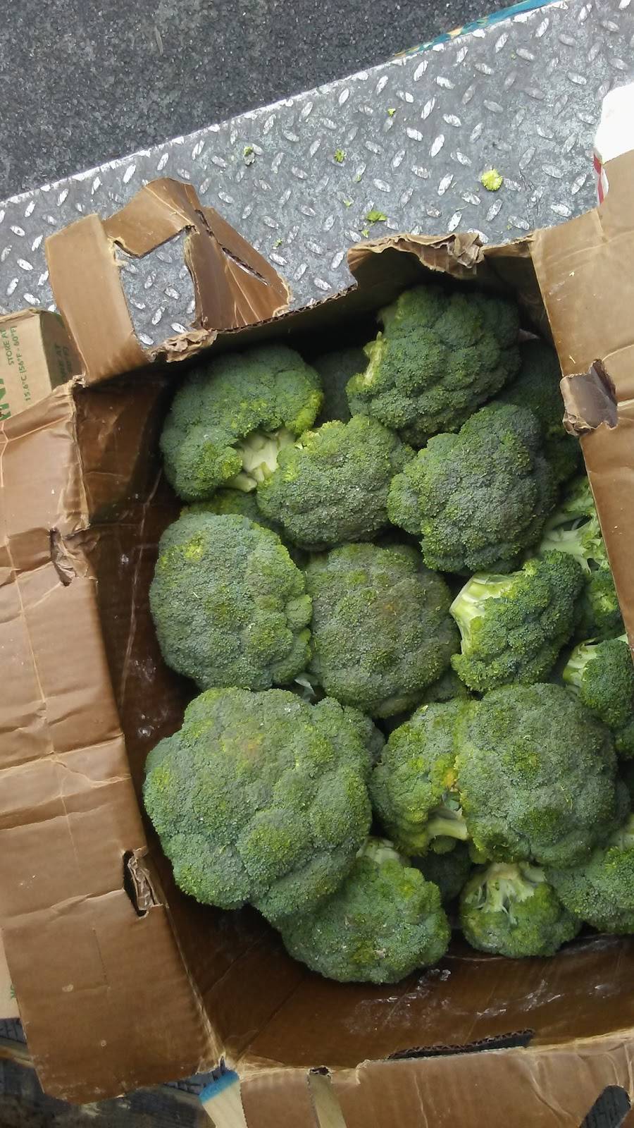 EL Nuevo Valle #2 | restaurant | 855 E 180th St, Bronx, NY 10460, USA | 7182209591 OR +1 718-220-9591