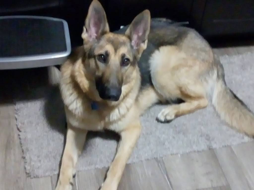 Subway | restaurant | 2850 169th St, Hammond, IN 46323, USA | 2198442500 OR +1 219-844-2500