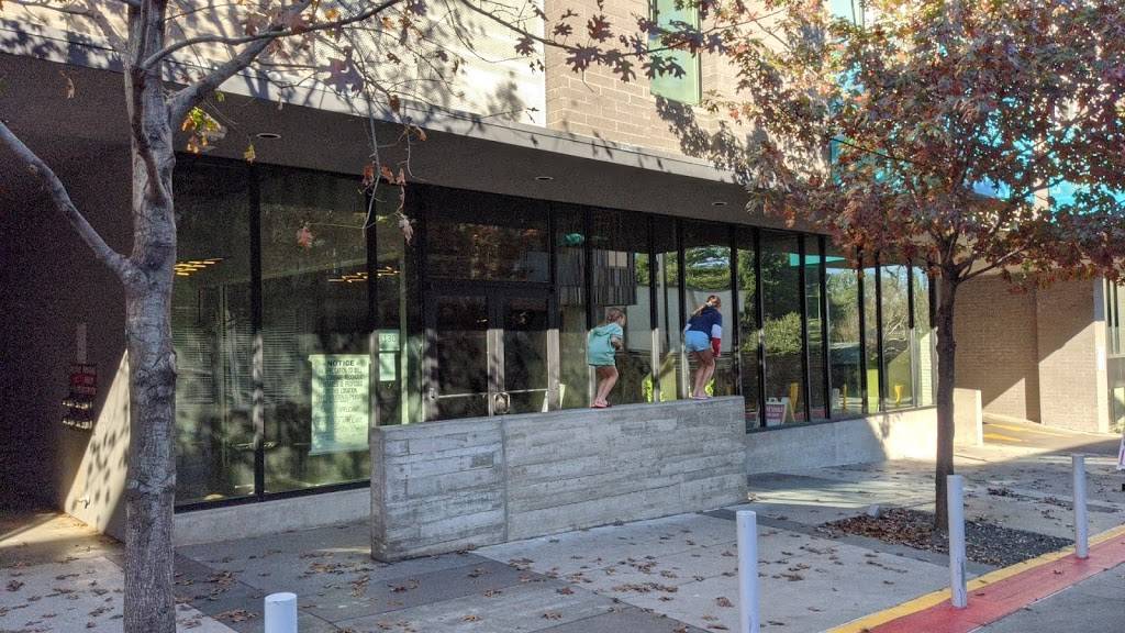 Greenbelt Botanicals | restaurant | 1100, 3130 S Lamar Blvd 3, Suite, Austin, TX 78704, USA | 5128528400 OR +1 512-852-8400