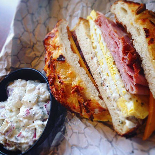 Einstein Bros. Bagels | cafe | 5003 E Fowler Ave, Tampa, FL 33617, USA | 8139880088 OR +1 813-988-0088