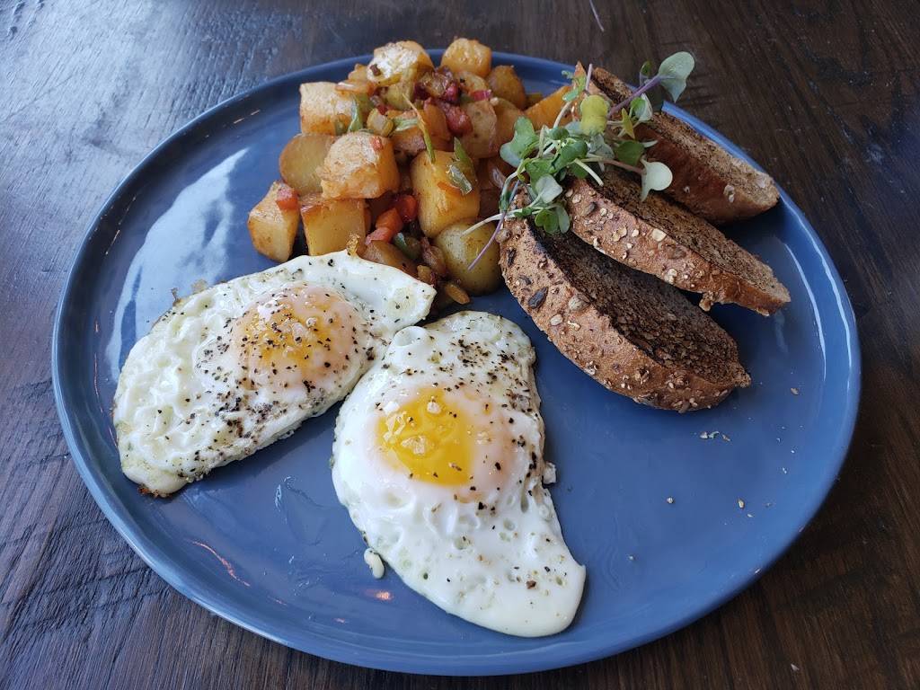 The Wild Feast Cafe | restaurant | 88 N Village Ave, Rockville Centre, NY 11570, USA | 5166652124 OR +1 516-665-2124