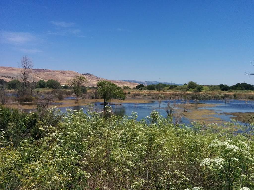 Coyote Creek Golf Club | restaurant | 1 Coyote Creek Golf Dr, Morgan Hill, CA 95037, USA | 4084631400 OR +1 408-463-1400